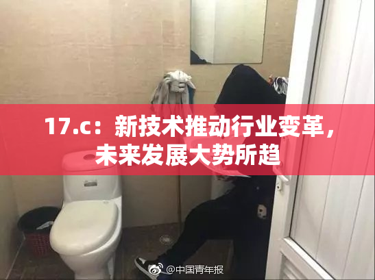 17.c：新技术推动行业变革，未来发展大势所趋