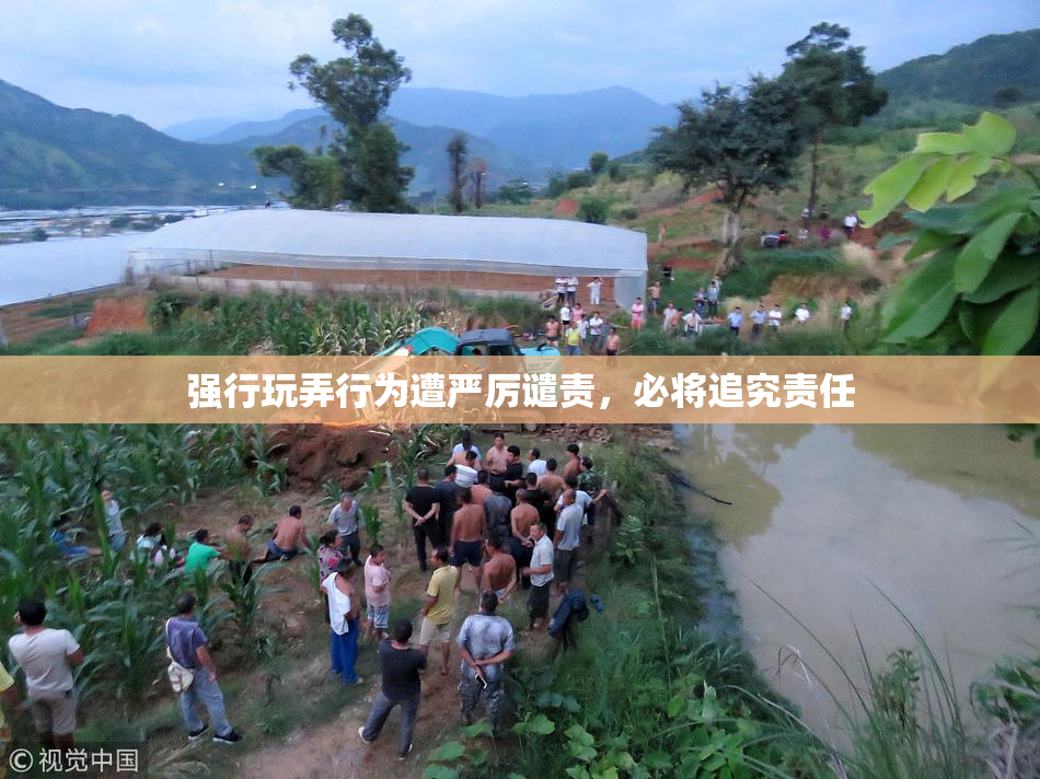 强行玩弄行为遭严厉谴责，必将追究责任
