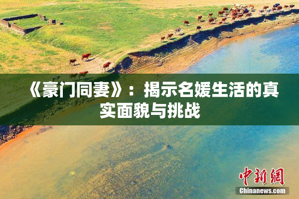 《豪门同妻》：揭示名媛生活的真实面貌与挑战