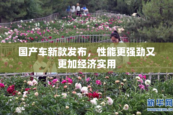 国产车新款发布，性能更强劲又更加经济实用