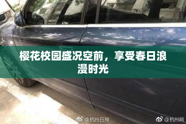 樱花校园盛况空前，享受春日浪漫时光