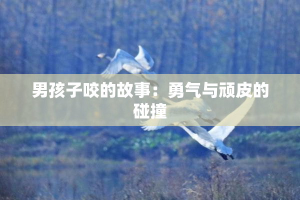 男孩子咬的故事：勇气与顽皮的碰撞