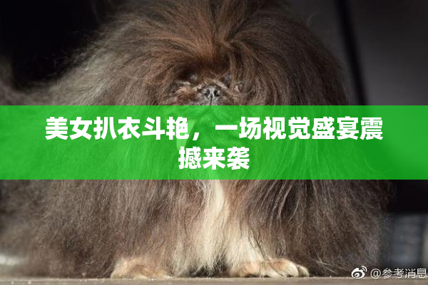 美女扒衣斗艳，一场视觉盛宴震撼来袭