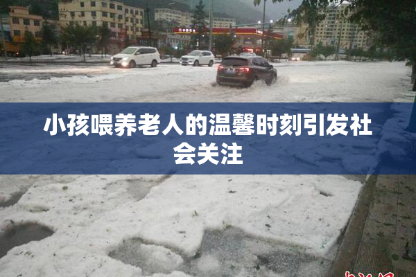 小孩喂养老人的温馨时刻引发社会关注