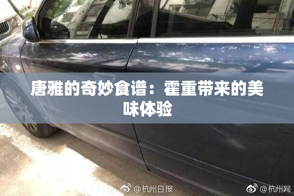 唐雅的奇妙食谱：霍重带来的美味体验
