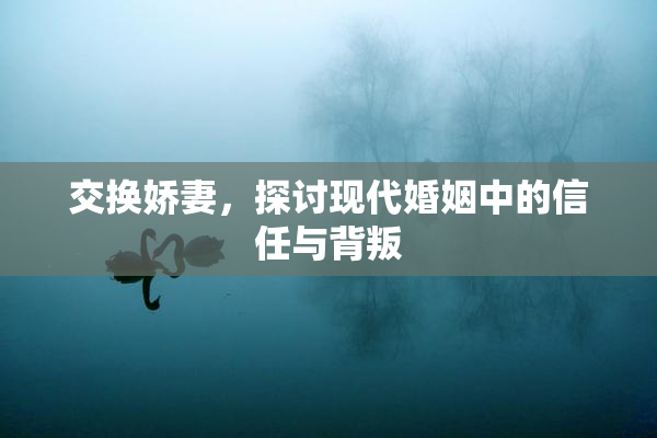 交换娇妻，探讨现代婚姻中的信任与背叛