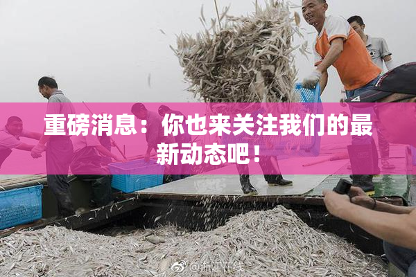 重磅消息：你也来关注我们的最新动态吧！