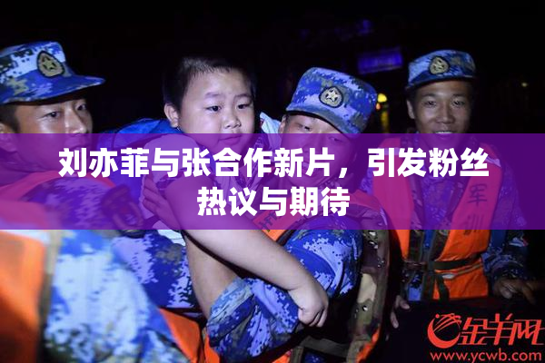 刘亦菲与张合作新片，引发粉丝热议与期待