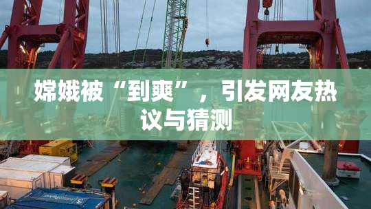 嫦娥被“到爽”，引发网友热议与猜测