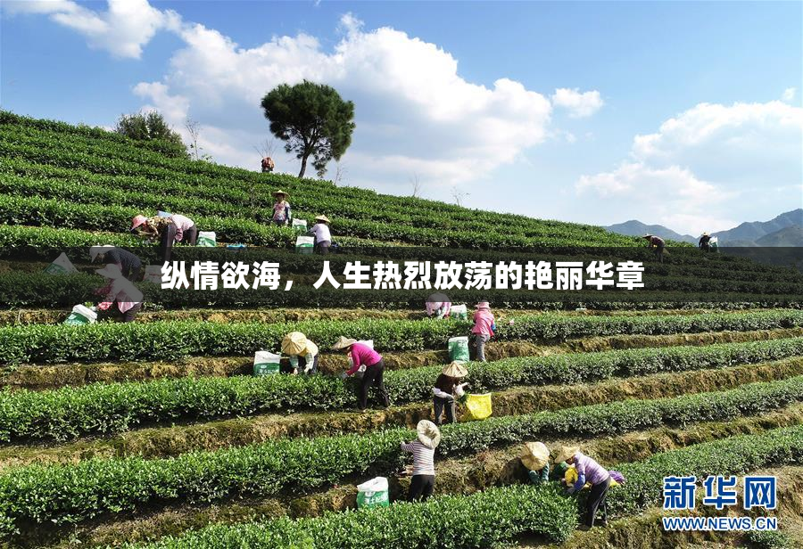 纵情欲海，人生热烈放荡的艳丽华章