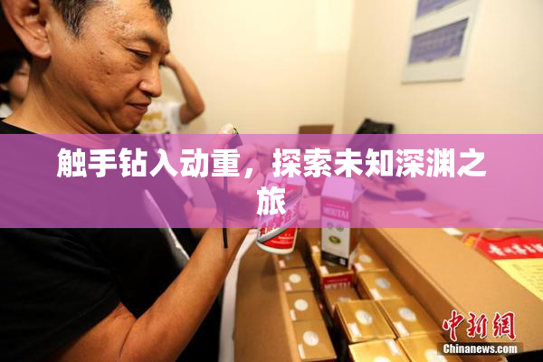触手钻入动重，探索未知深渊之旅