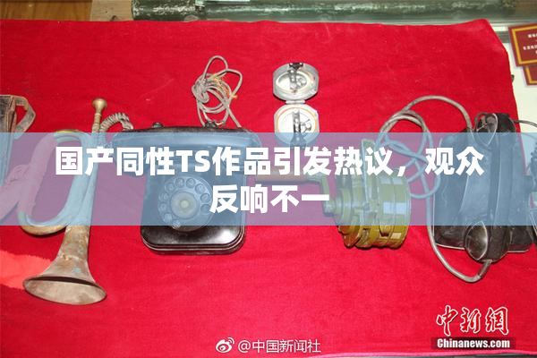 国产同性TS作品引发热议，观众反响不一