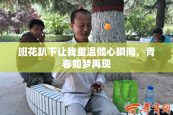 班花趴下让我重温倾心瞬间，青春如梦再现