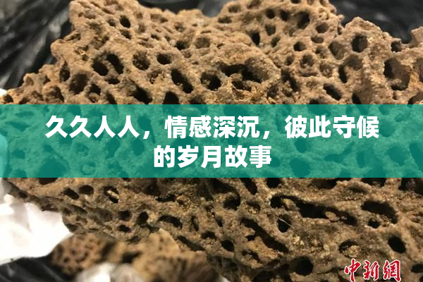 久久人人，情感深沉，彼此守候的岁月故事