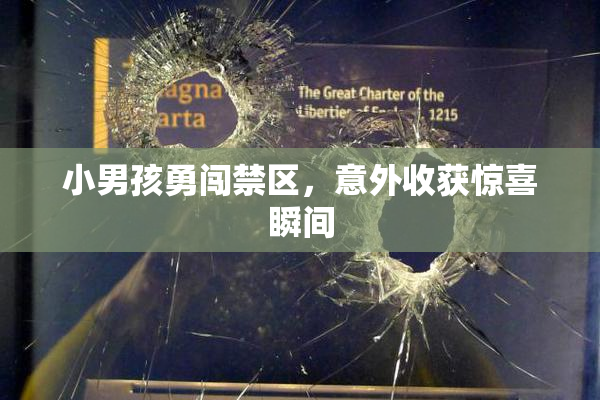 小男孩勇闯禁区，意外收获惊喜瞬间