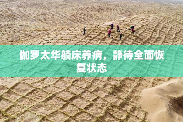 伽罗太华躺床养病，静待全面恢复状态