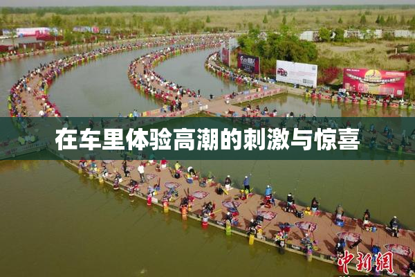在车里体验高潮的刺激与惊喜