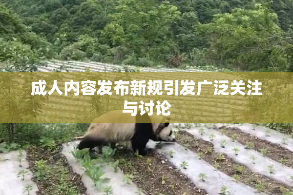 成人内容发布新规引发广泛关注与讨论