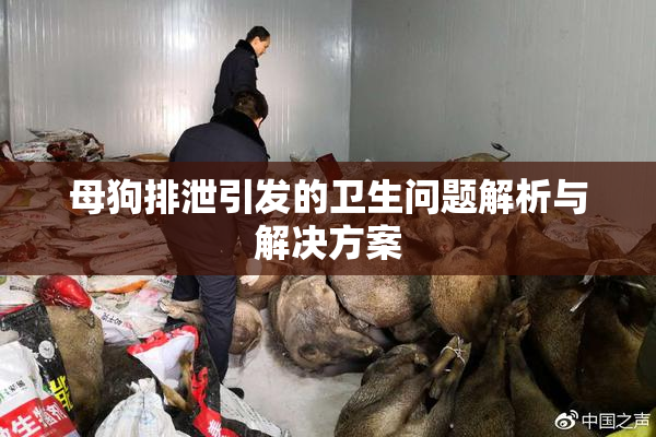 母狗排泄引发的卫生问题解析与解决方案