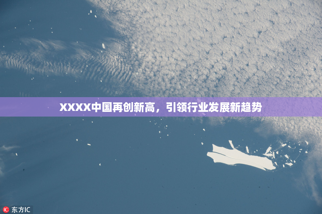 XXXX中国再创新高，引领行业发展新趋势
