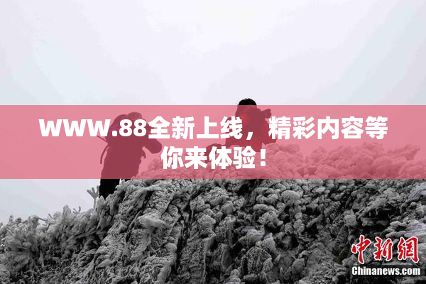 WWW.88全新上线，精彩内容等你来体验！