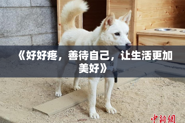 《好好疼，善待自己，让生活更加美好》