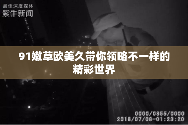 91嫩草欧美久带你领略不一样的精彩世界