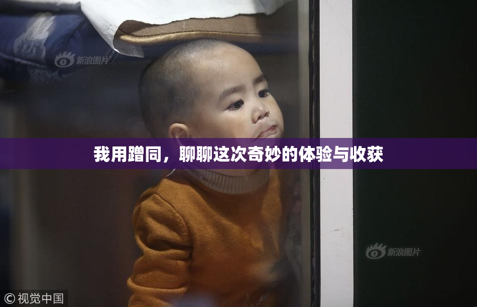 我用蹭同，聊聊这次奇妙的体验与收获