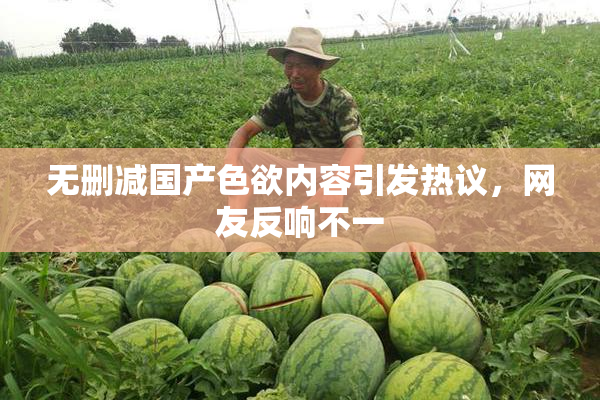 无删减国产色欲内容引发热议，网友反响不一