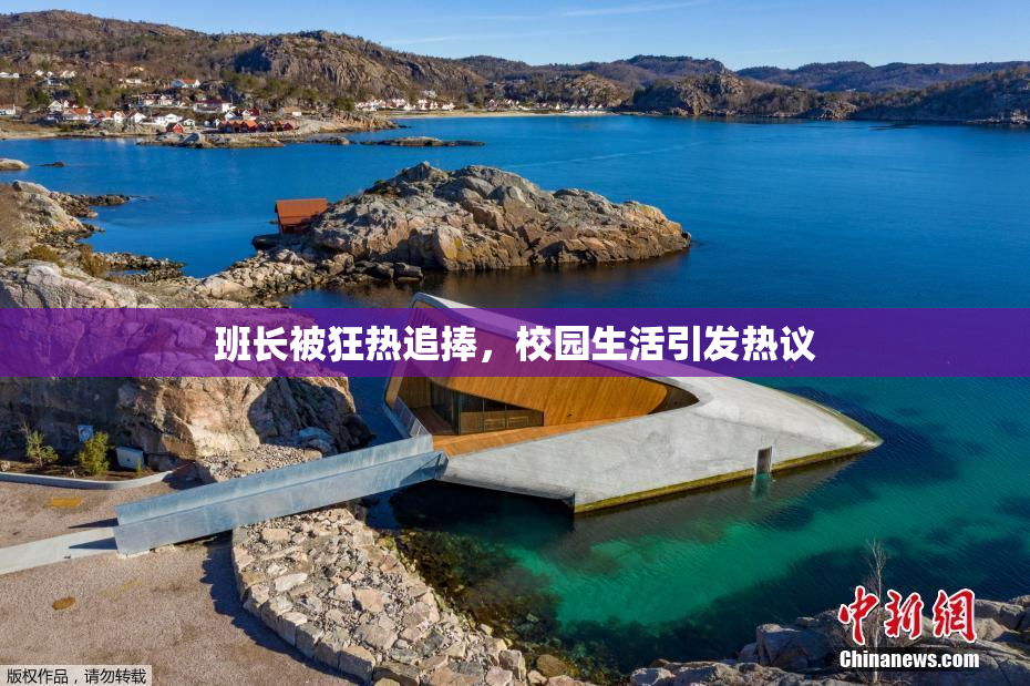 班长被狂热追捧，校园生活引发热议