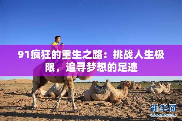 91疯狂的重生之路：挑战人生极限，追寻梦想的足迹