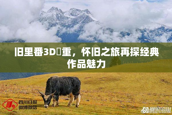 旧里番3D姉重，怀旧之旅再探经典作品魅力