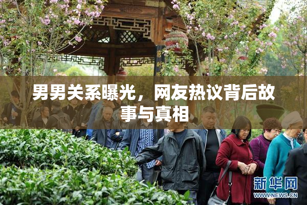 男男关系曝光，网友热议背后故事与真相