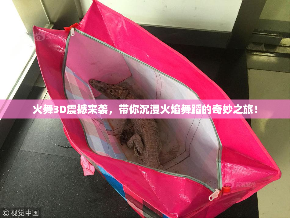 火舞3D震撼来袭，带你沉浸火焰舞蹈的奇妙之旅！