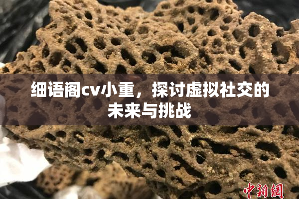 细语阁cv小重，探讨虚拟社交的未来与挑战