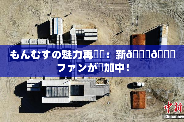 もんむすの魅力再発見：新👅🍑ファンが増加中！