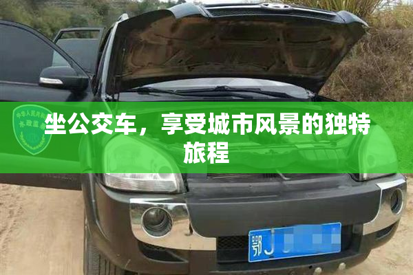坐公交车，享受城市风景的独特旅程