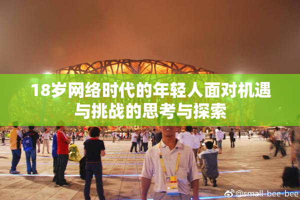 18岁网络时代的年轻人面对机遇与挑战的思考与探索
