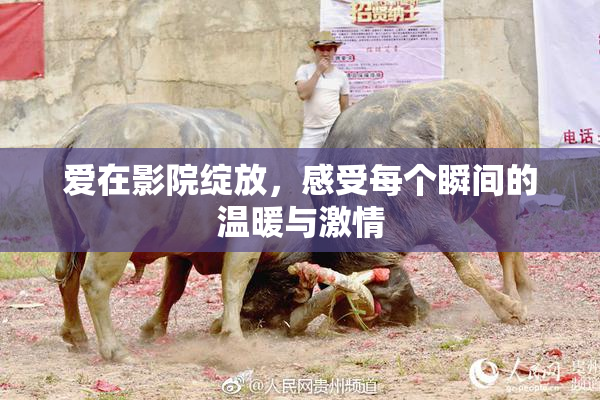 爱在影院绽放，感受每个瞬间的温暖与激情