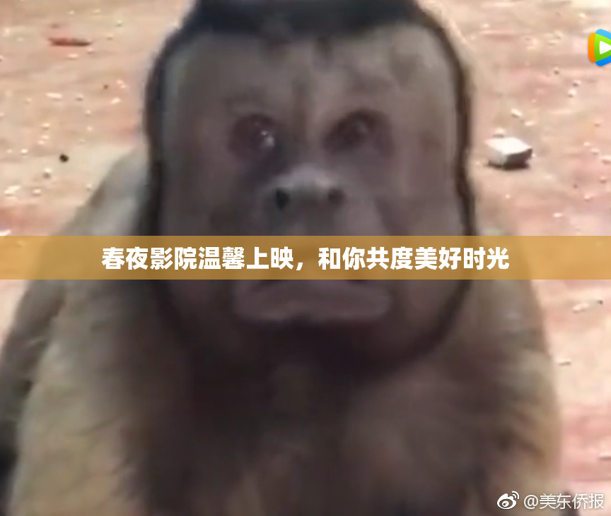 春夜影院温馨上映，和你共度美好时光