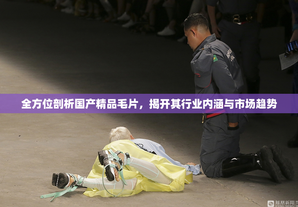 全方位剖析国产精品毛片，揭开其行业内涵与市场趋势