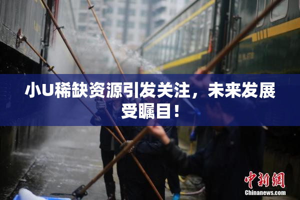 小U稀缺资源引发关注，未来发展受瞩目！