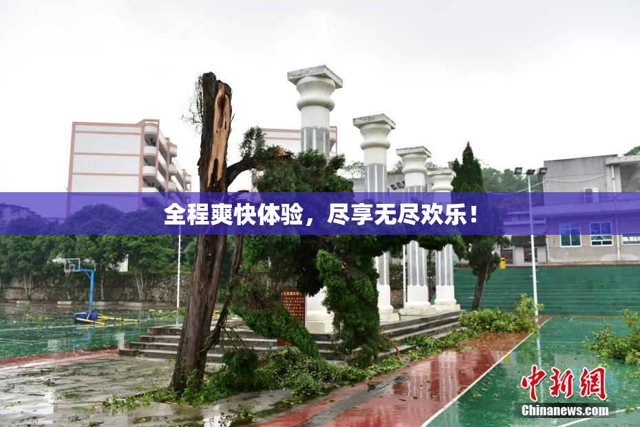 全程爽快体验，尽享无尽欢乐！