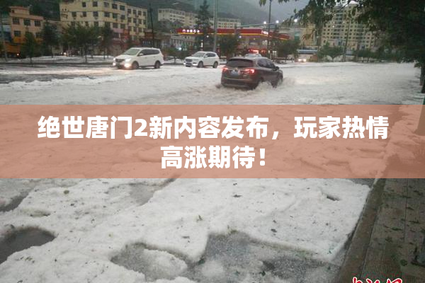 绝世唐门2新内容发布，玩家热情高涨期待！