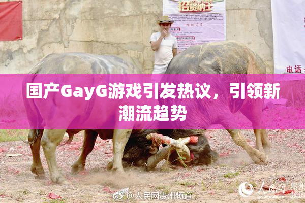 国产GayG游戏引发热议，引领新潮流趋势
