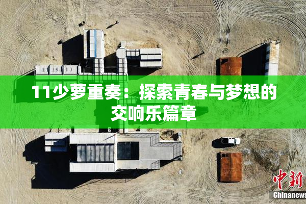 11少萝重奏：探索青春与梦想的交响乐篇章