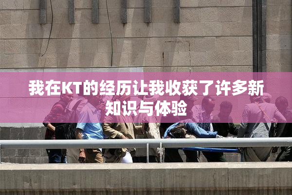 我在KT的经历让我收获了许多新知识与体验