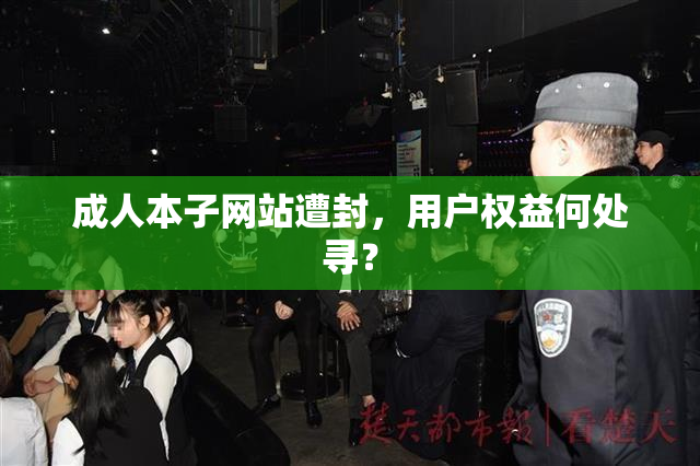 成人本子网站遭封，用户权益何处寻？