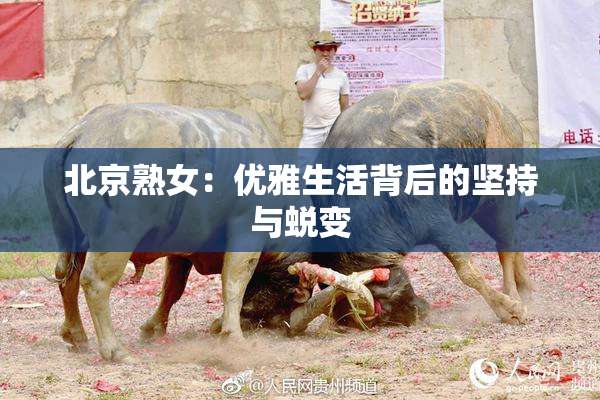 北京熟女：优雅生活背后的坚持与蜕变