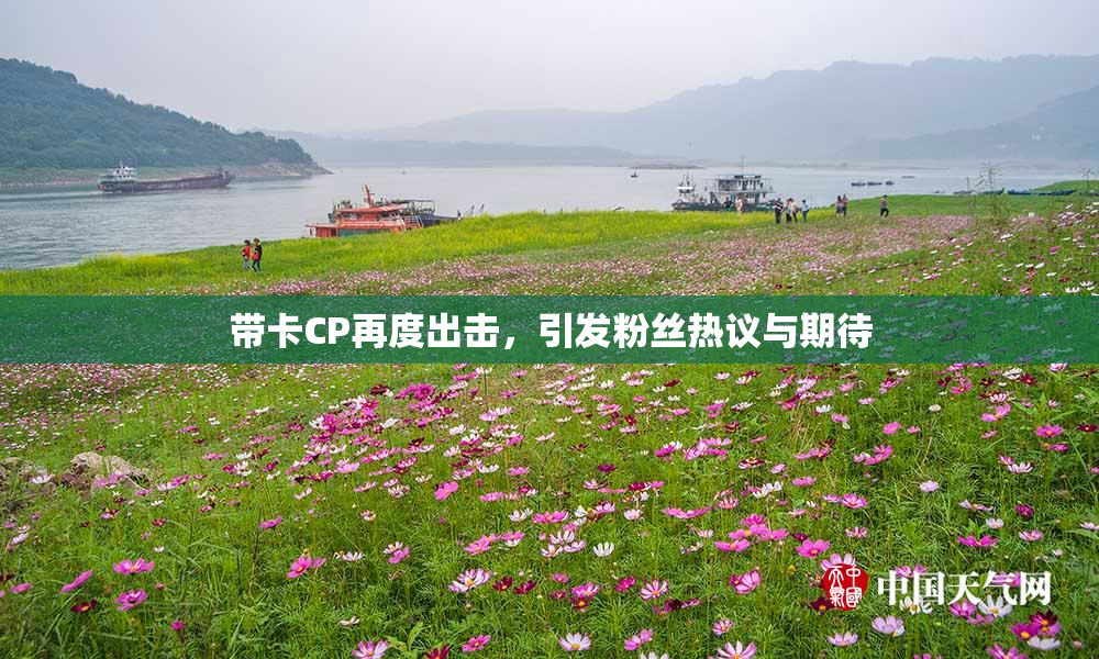 带卡CP再度出击，引发粉丝热议与期待
